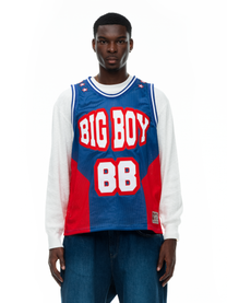 BALL JERSEY - BLUE/RED