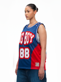 BALL JERSEY - BLUE/RED